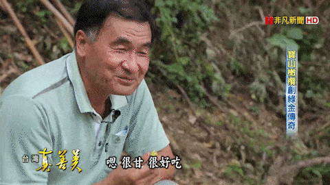 1759983968398168.gif 1759983968398168.gif