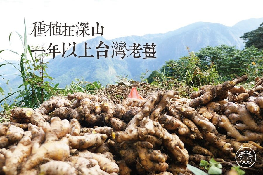 1759992037727022.jpg imgi_22_1736843054450184.jpg