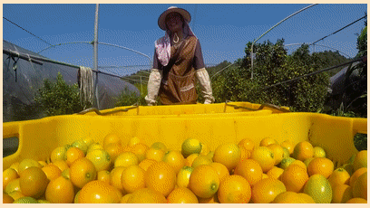 1760511056394348.gif 1760511056394348.gif