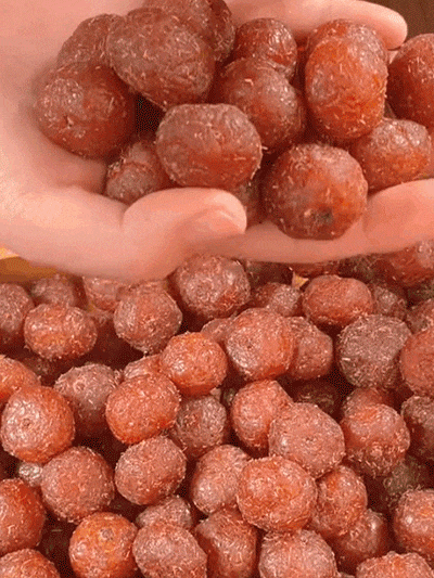 1760579287658482.gif 1760579287658482.gif