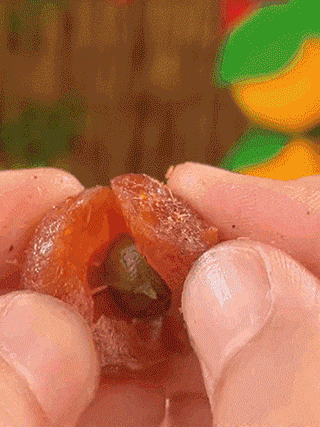 1760579383316612.gif 1760579383316612.gif