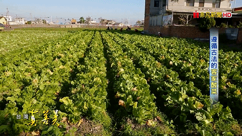 1760581702831323.gif 1760581702831323.gif